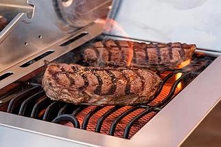 Nexgrill Industries Газовый гриль Nexgrill Deluxe GRIZZLY 5B